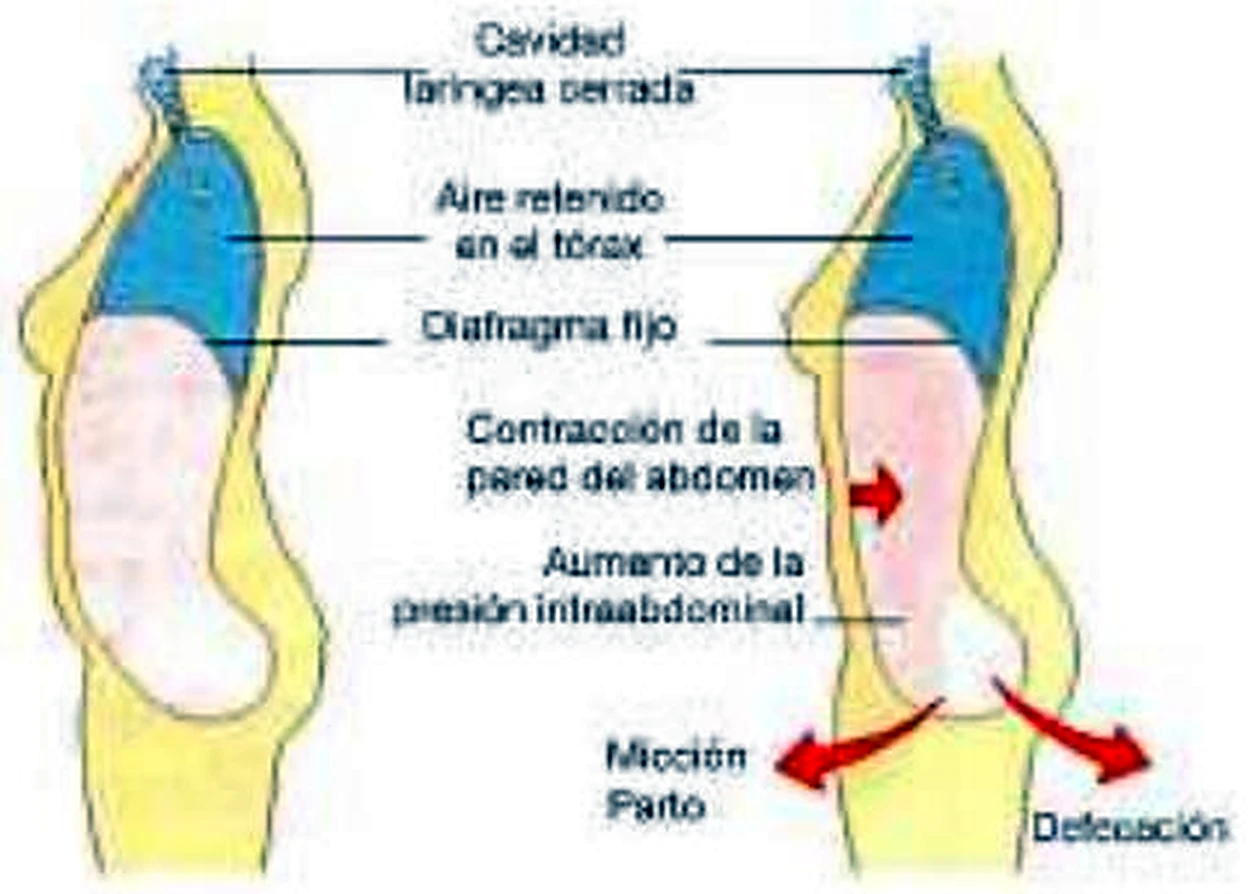 Esquema del conducto inguinal.