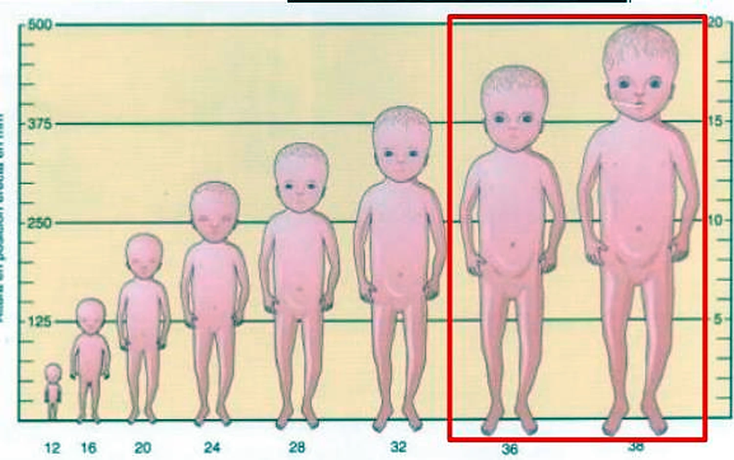 La misma tabla, con las dos últimas siluetas dentro de un recuadro.