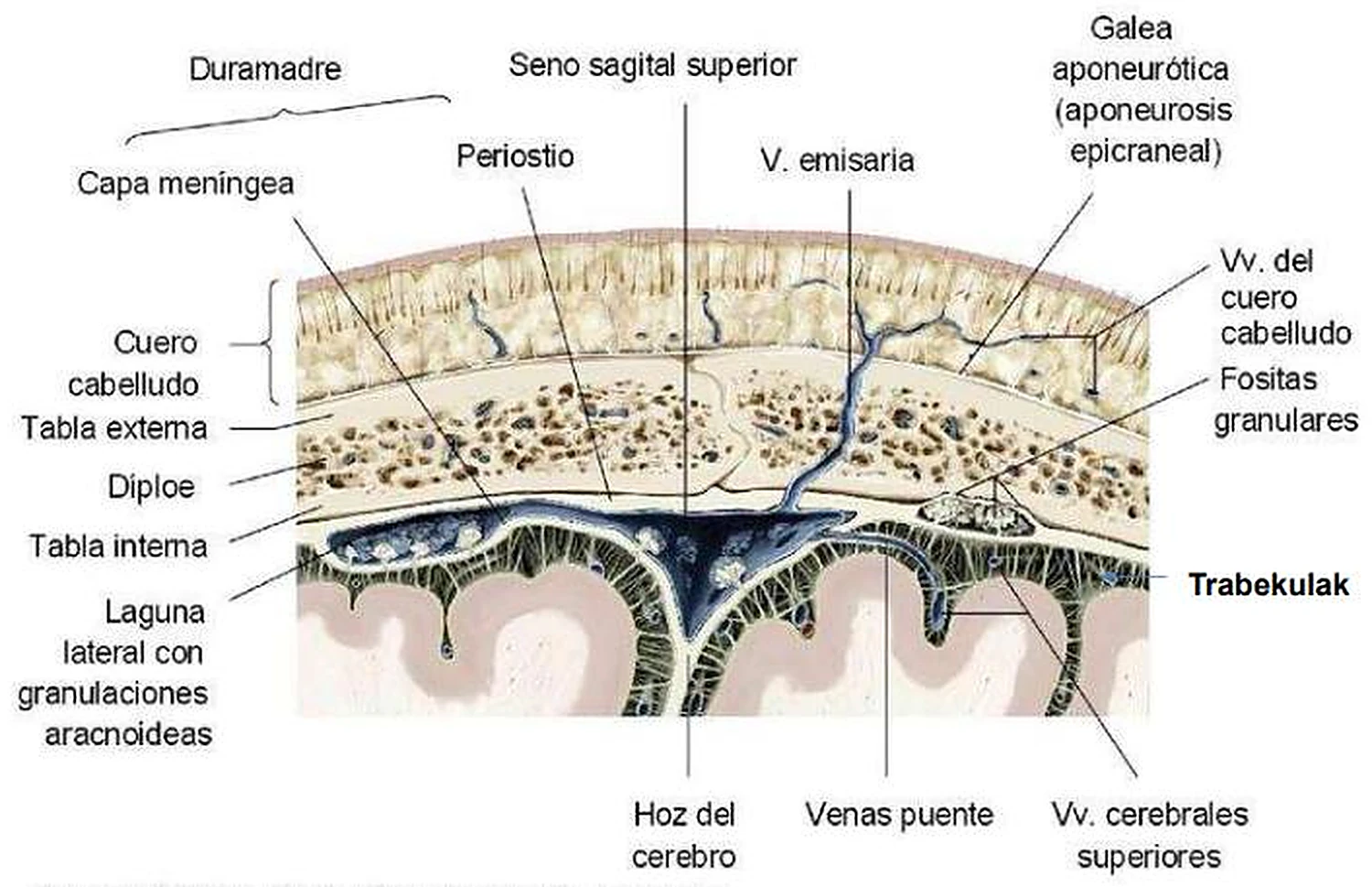 Esquema de las cisternas.